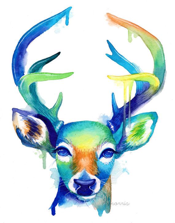 570x725 Colorful Doe And Blue Green Buck Duo Pack