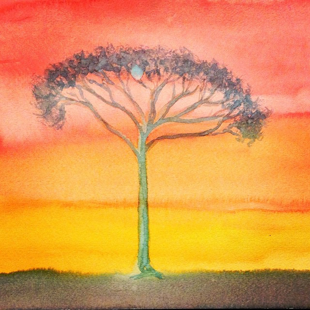 640x640 African Acacia Tree. Watercolor Painting By Wilson.