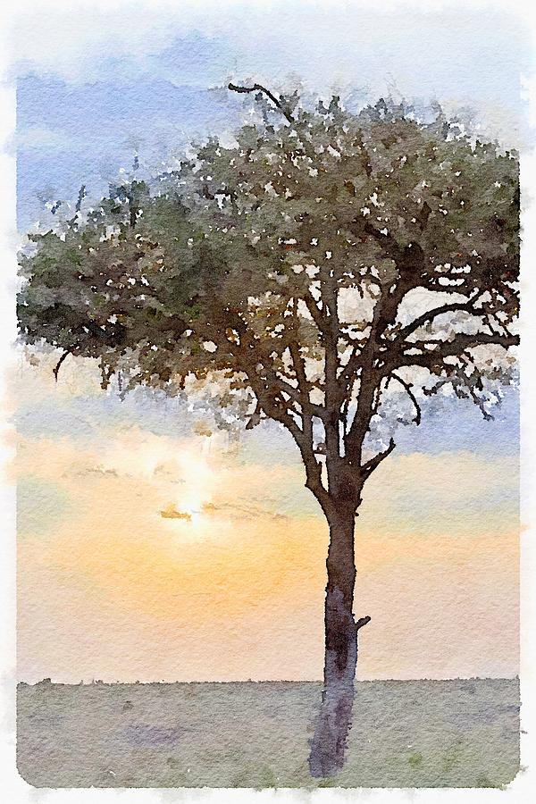 600x900 Sunset Behind Acacia Tree Digital Watercolor Photograph By Janet Ogren