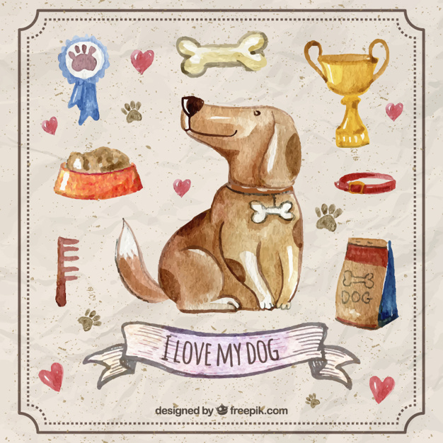 626x626 Watercolor Dog With Pet Accessories Vector Free Download