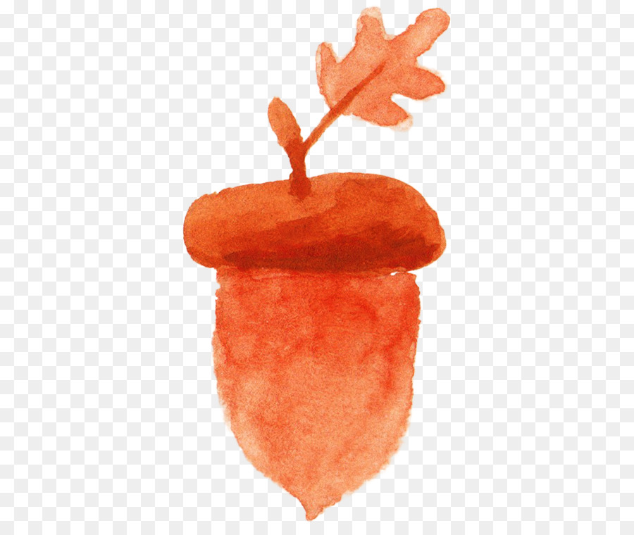 900x760 Acorn Watercolor Painting Orange