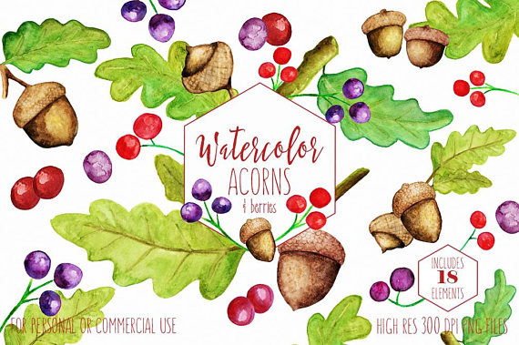570x379 Acorn Clipart Watercolor ~ Frames ~ Illustrations ~ Hd Images