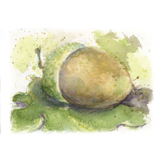 570x570 Watercolor Acorn Acorn Print By Jenhollowayart On Etsy Acorns