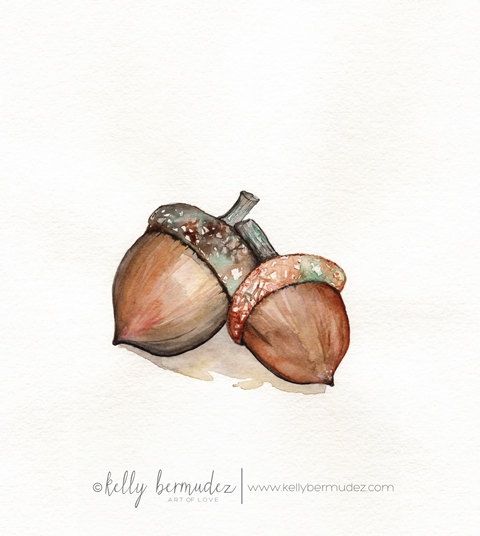 480x536 Acorn Love Acorns Fall Autumn Brown By Kellybermudez