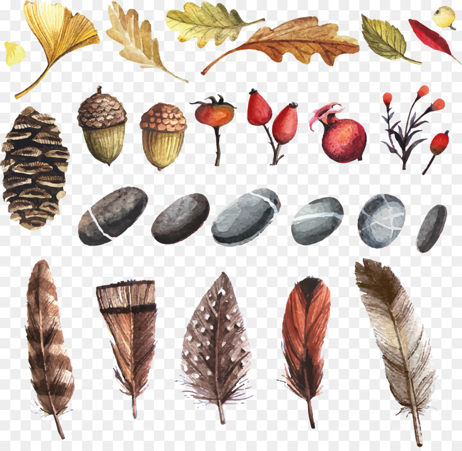 900x880 Watercolor Painting Flower Clip Art