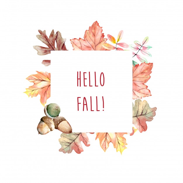 626x626 Acorn Vectors, Photos And Psd Files Free Download