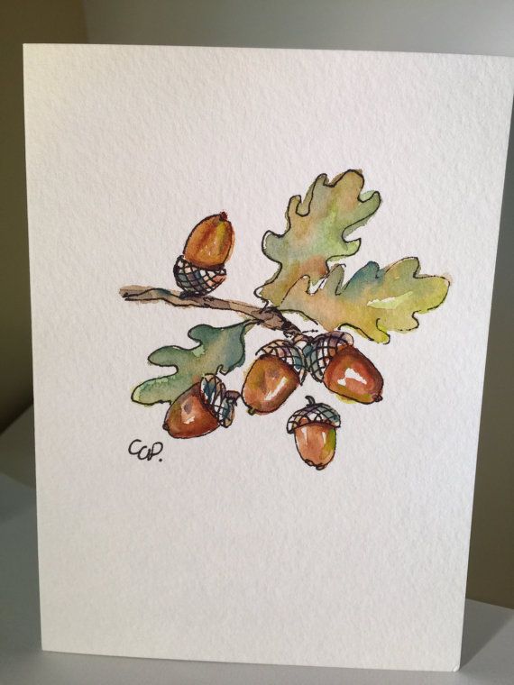 570x760 Acorn Watercolor Card Watercolor Cards, Watercolor And Etsy