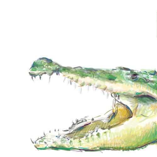500x500 Alligator Painting Awesome Alligator Nursery Art Crocodile Nursery