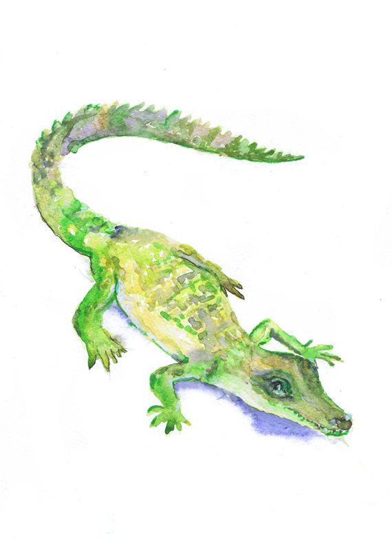 570x799 Baby Alligator Art Watercolor Painting Boy Nursery Decor Crocodile