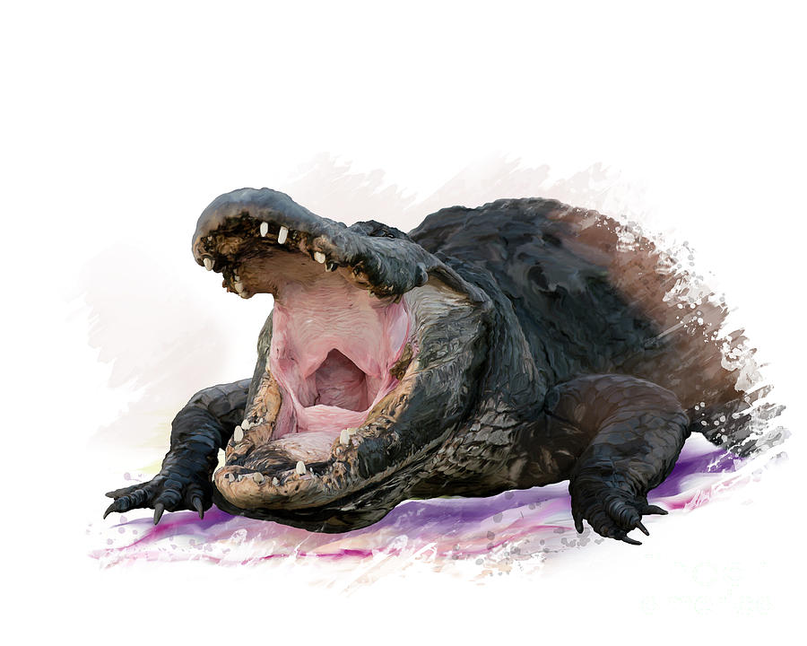 900x720 Large Alligator Watercolor Digital Art By Svetlana Foote