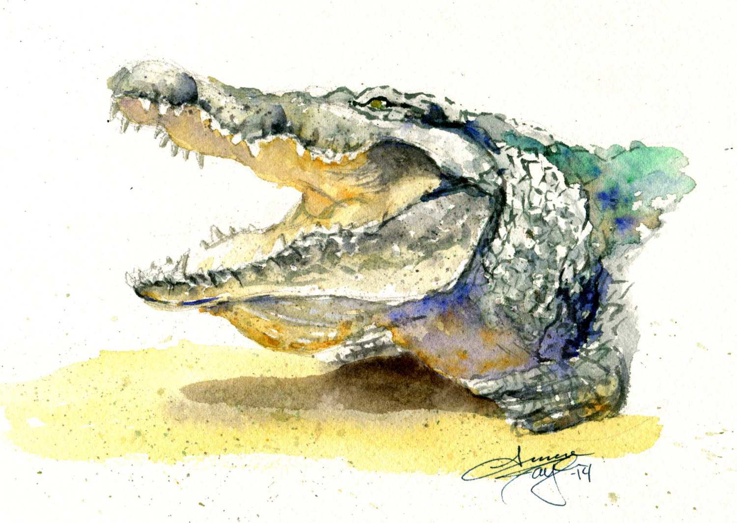 1500x1065 Alligator Painting Best Of Watercolor Crocodile Painting Ideas