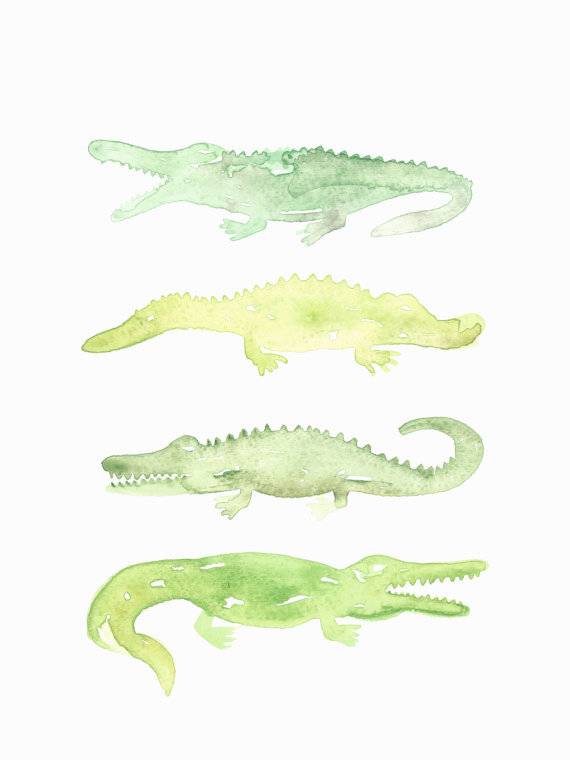 570x760 Watercolor Alligator Print