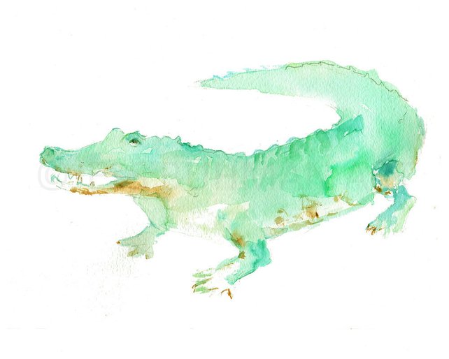 642x514 Alligator Print Watercolor Alligator Art 8 X 10 Print Etsy