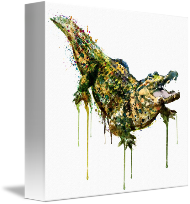 606x650 Alligator Watercolor Painting By Marian Voicu