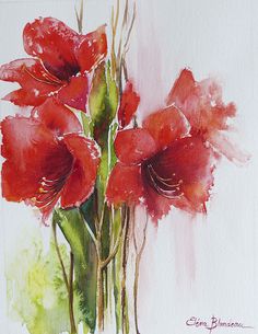 236x305 Botanical Art, Botanical Painting, Flower Painting. Amaryllis