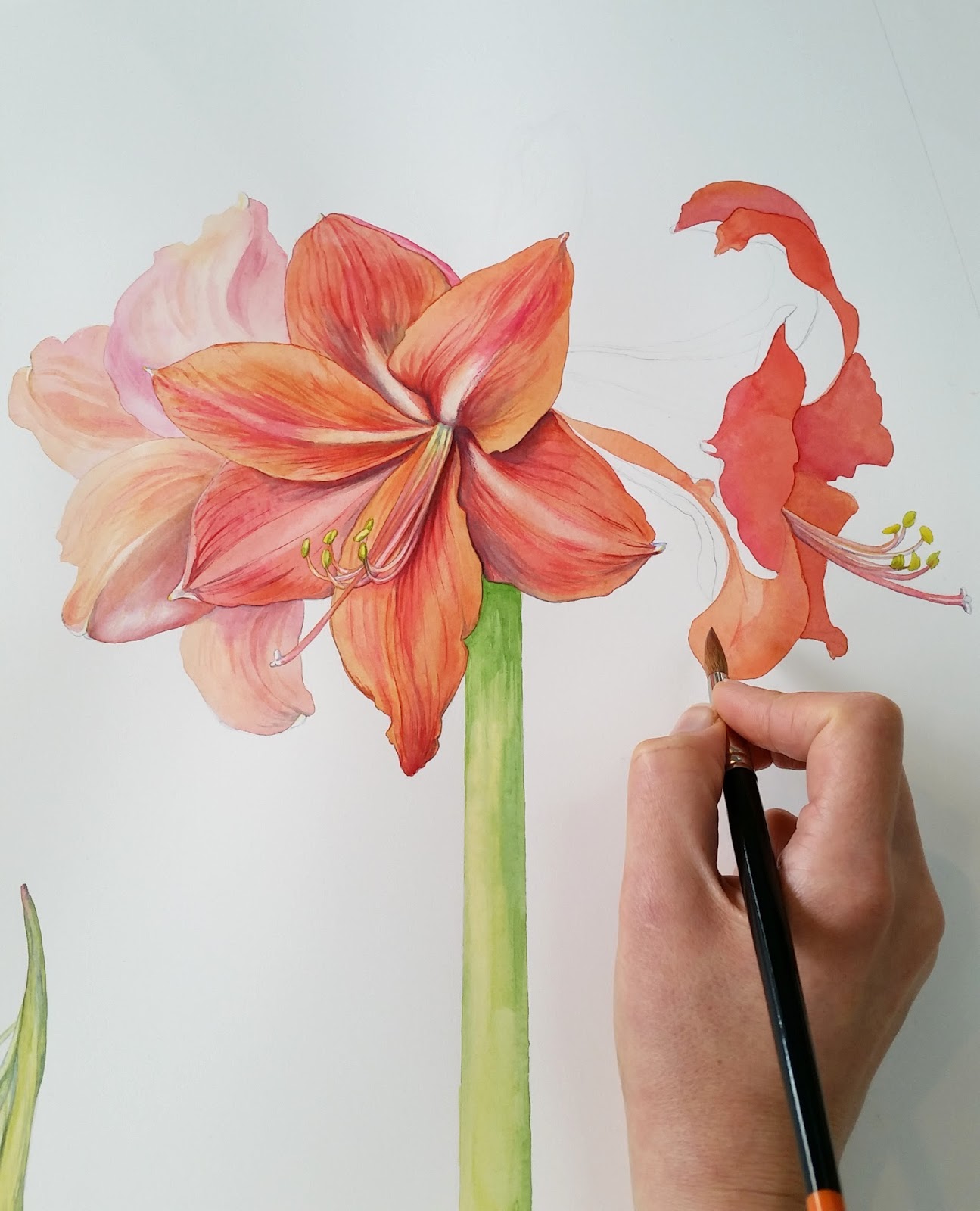 1295x1600 Bridget Bossart Van Otterloo