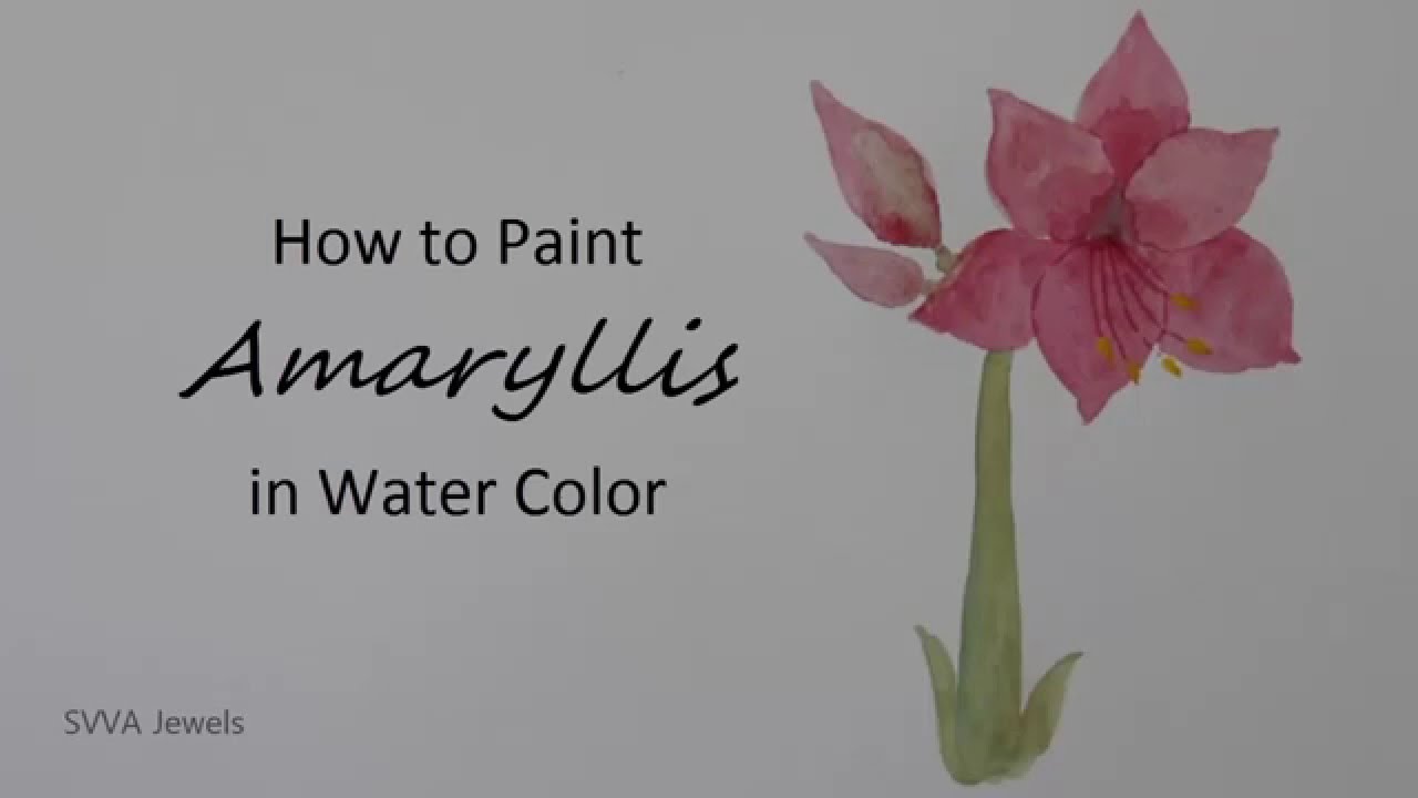 1280x720 How To Paint Amaryllis In Watercolor