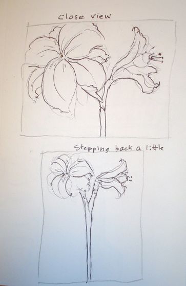 363x559 How To Paint An Amaryllis In Watercolor 10 Steps (With Pictures)