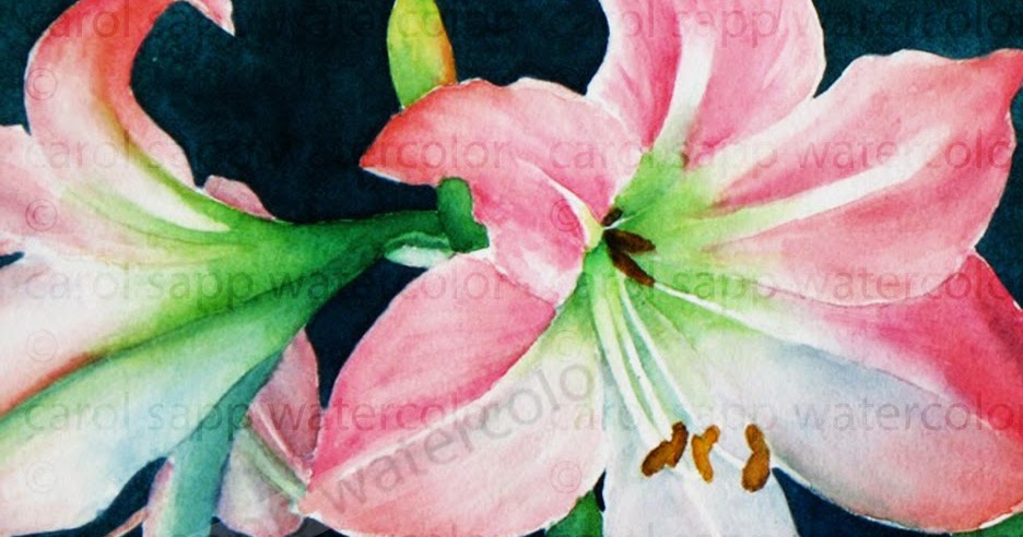 936x492 My Painting Room Pink Amaryllis Watercolor