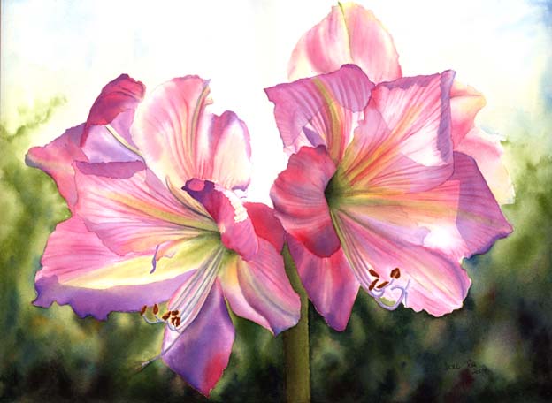624x456 Pink Amaryllis 1 Watercolor Amp Oil Paintings Of Roses And Flowers