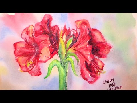 480x360 Amaryllis Flower In Watercolor Painting Tutorial