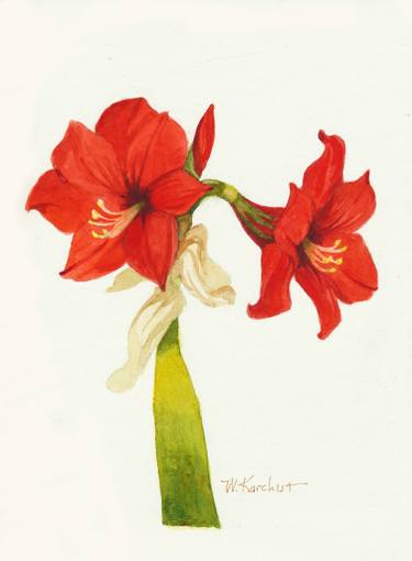 375x510 Amaryllis Twins Painting By Wes Karchut Saatchi Art