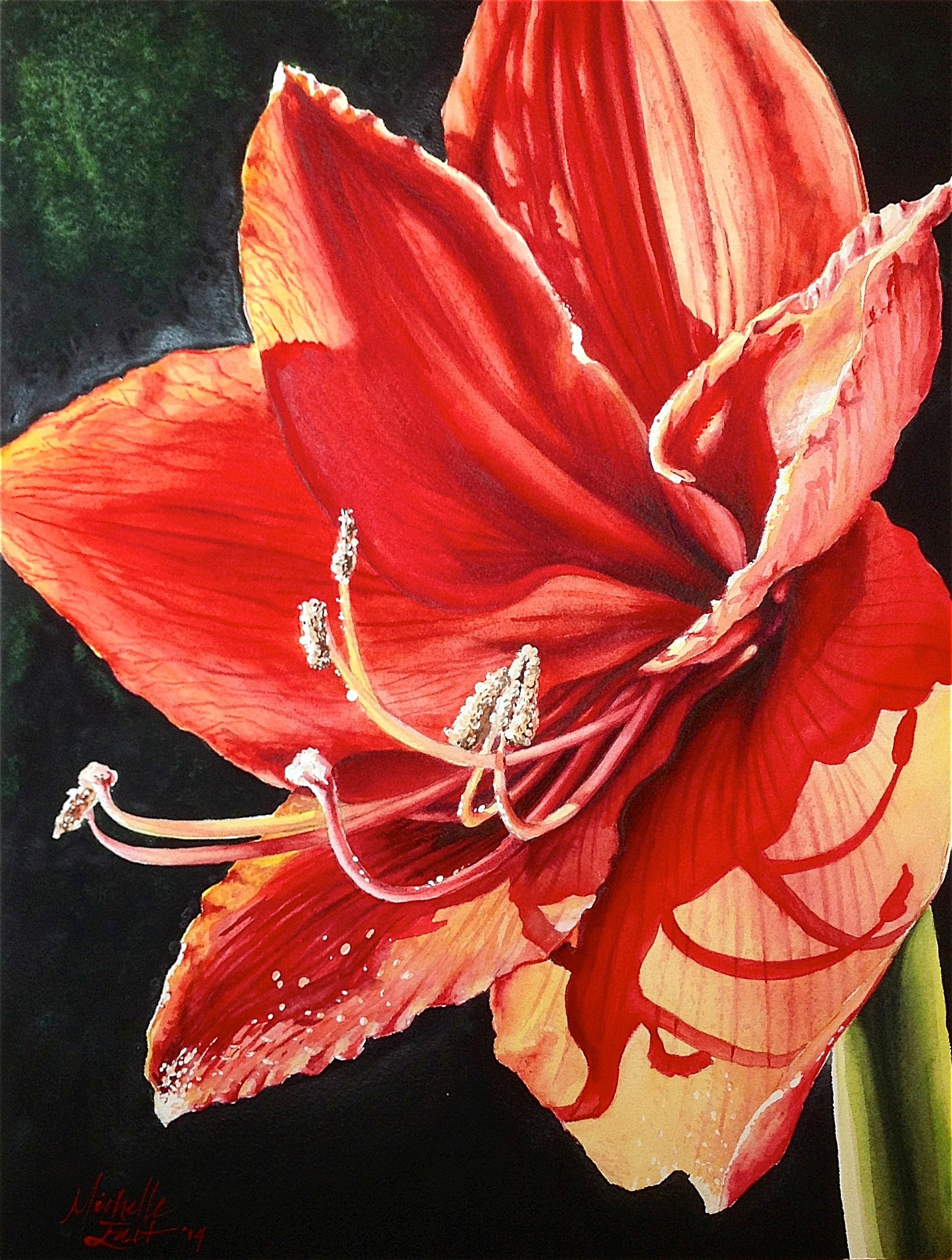 1433x1897 Amaryllis In Sunlight Print