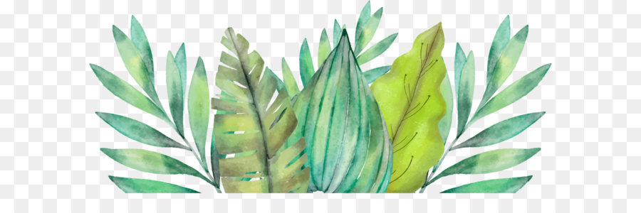 900x300 Leaf Amazon Rainforest Watercolor Painting Arecaceae