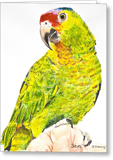 455x646 Red Lored Amazon Parrot In Watercolor Painting By Kate Sumners