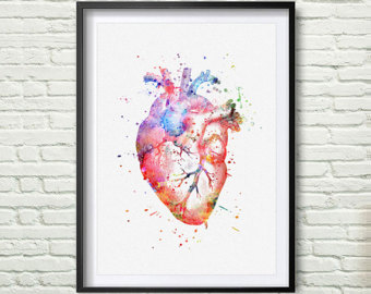 340x270 Anatomy Heart Gift Watercolor Etsy