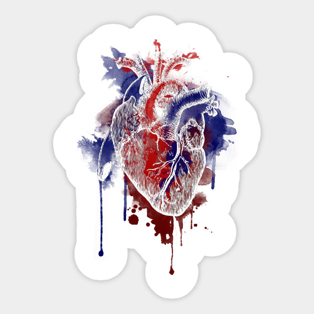630x630 Digital Anatomical Watercolor Heart (White Version)