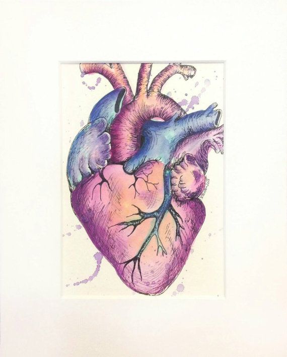 570x710 Heart, Anatomical Heart Unique One Of A Kind Watercolor And Ink