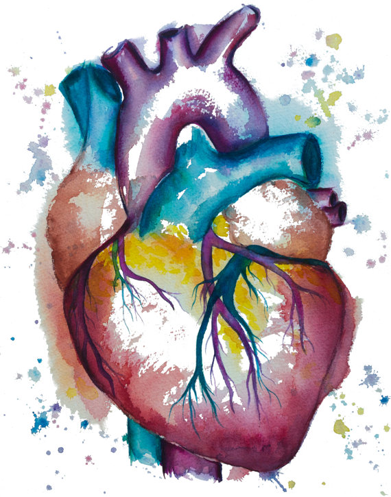 570x725 Heart Watercolor Painting