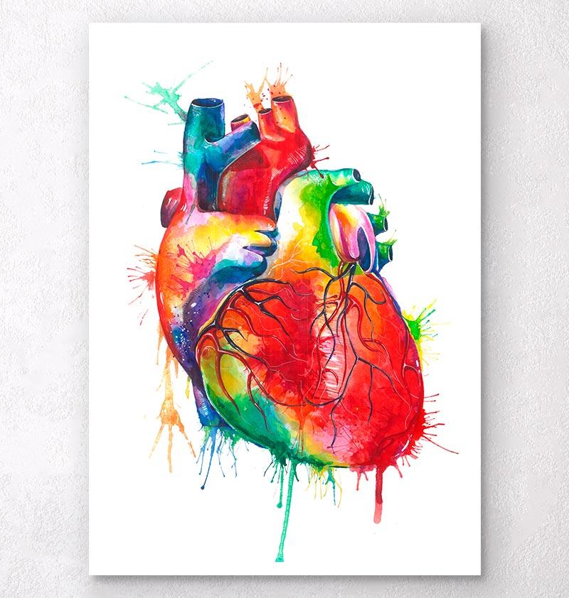 800x842 Watercolor Heart Anatomy Art Print