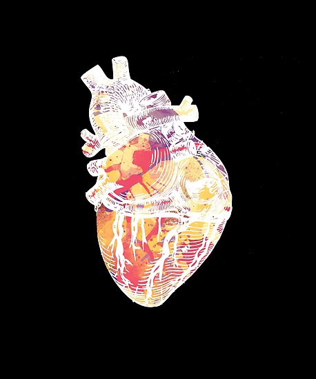 458x550 White Watercolor Anatomical Heart Posters By Morgany Redbubble