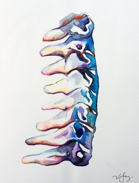 570x747 Cervical Spine Watercolor Painting Original Watercolor