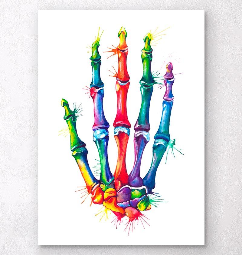 800x842 Hand Anatomy Art
