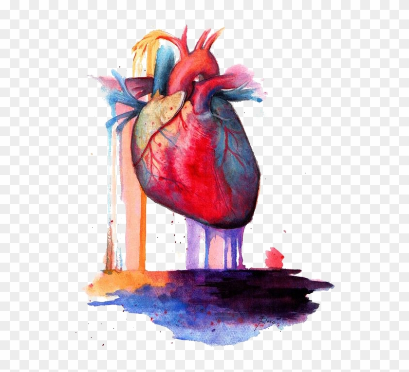840x765 Heart Anatomy Watercolor Painting