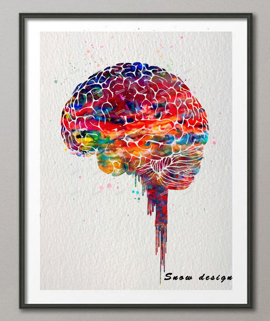538x640 Buy Original Watercolor Brain Poster Print Canvas