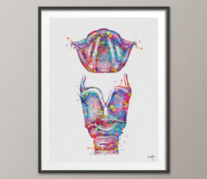 300x260 Larynx Watercolor Print Medical Art Anatomy Art Audiologist Ent