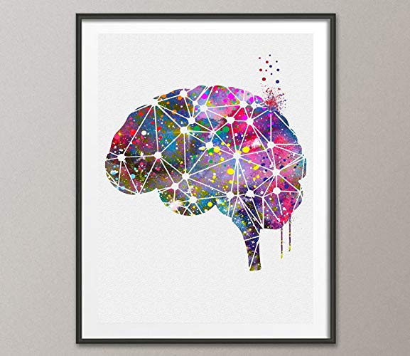577x500 Brain Anatomy Watercolor Poster Art Print Wall Decor