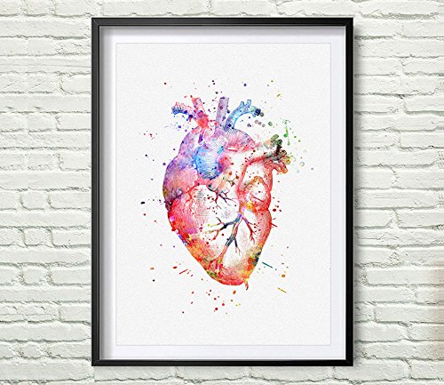 500x433 Watercolor Anatomy Heart Images Vintage Graphics Art