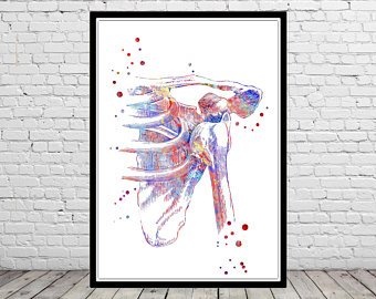 340x270 Anatomy Watercolor Etsy