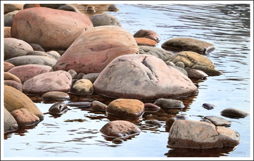 500x318 Johannes Wessmark Photorealism With Colored Pencil And Watercolor