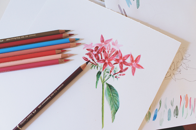 650x433 Mixed Media Flowers Drawing With Color Pencils And Watercolors