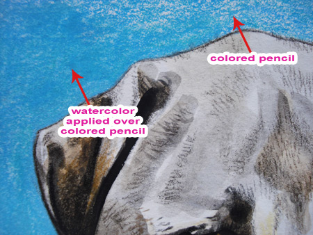 450x338 Mixed Media Tutorial Learn How To Combine Colored Pencils And