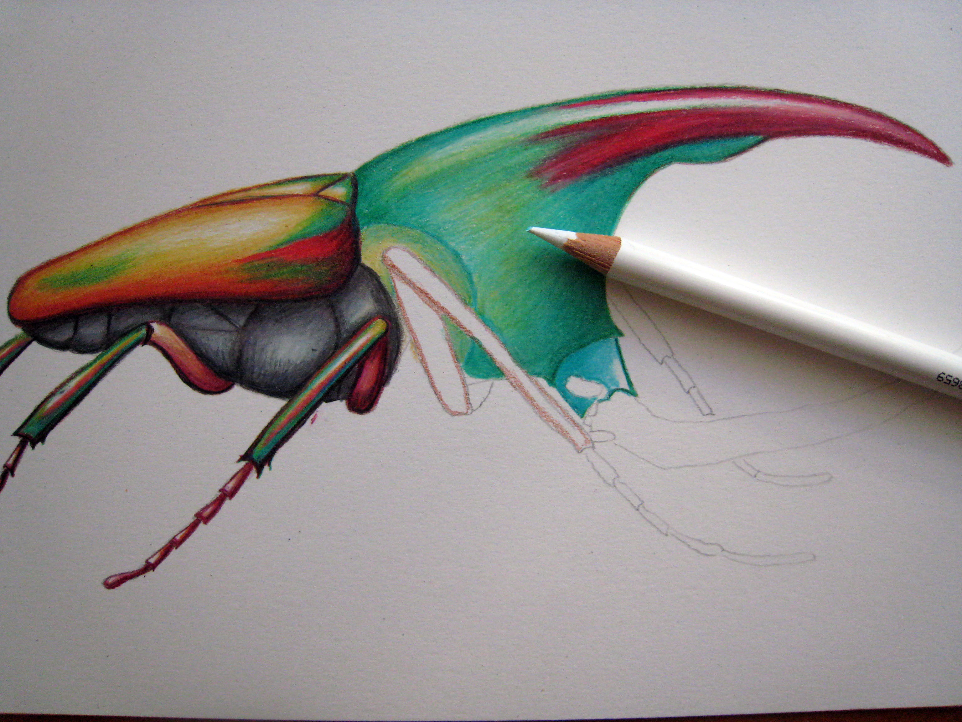 3072x2304 Pictures Watercolor And Colored Pencils,