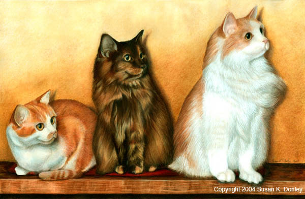 600x392 The Three Kitties