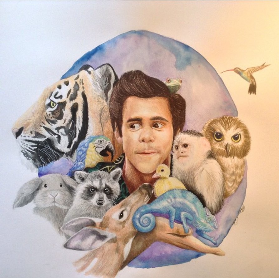 895x892 Watercolor Color Pencil