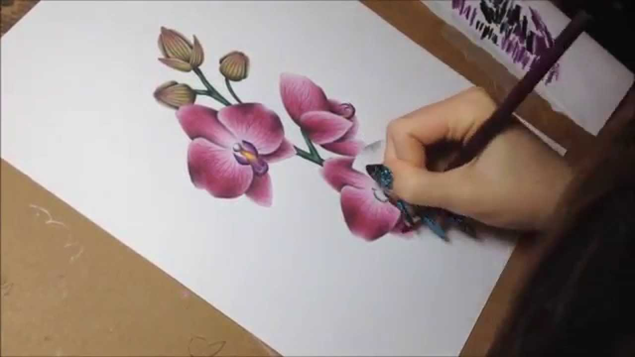 1280x720 Watercolor Colored Pencil Drawings